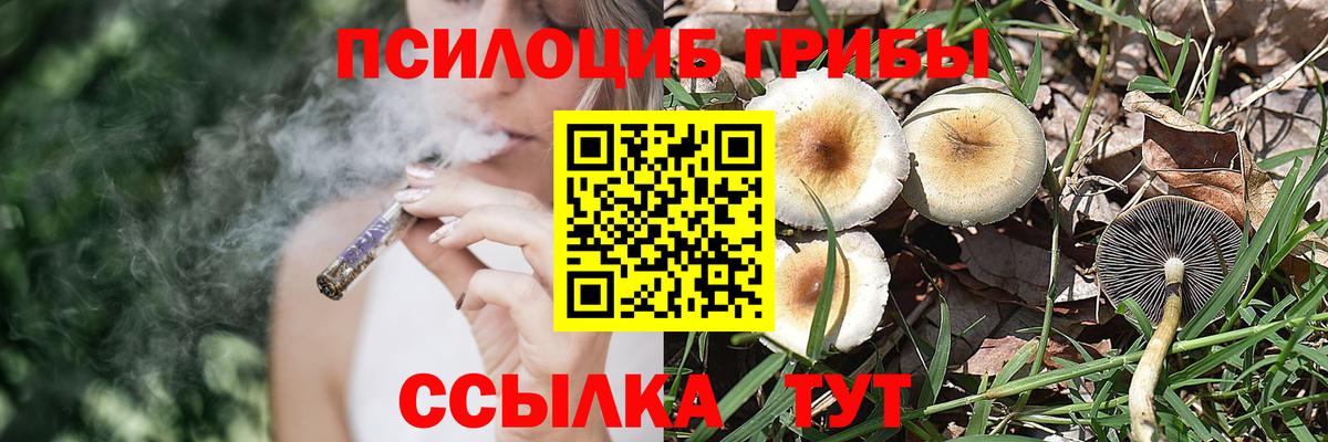 Галлюциногенные грибы Magic Shrooms Верхний Уфалей